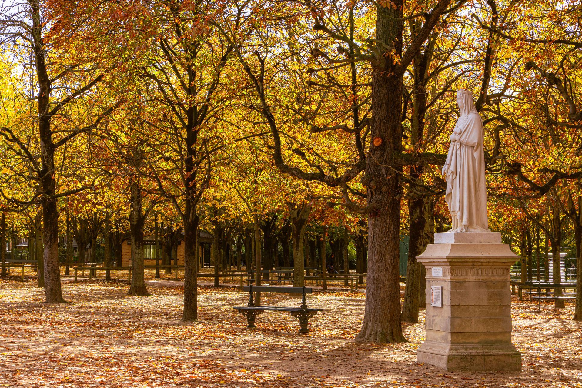 Parisian Park