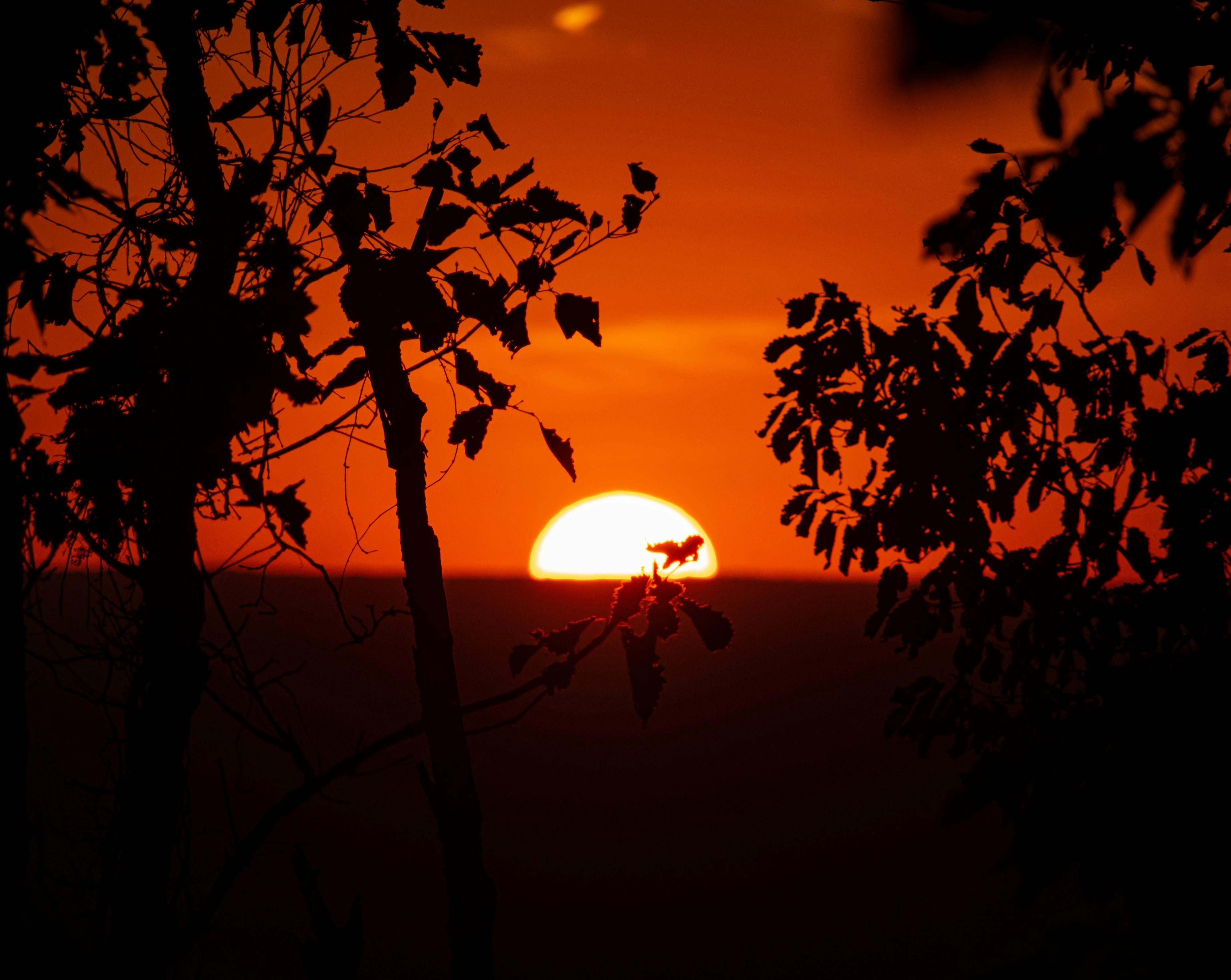 Sunset at Kennesaw Mountain National Battlefield Park in Kennesaw, GA. 